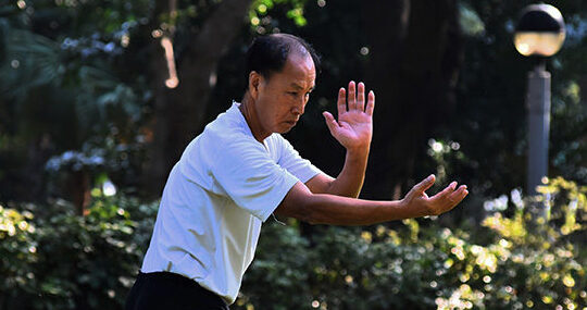 tai chi qigong near me