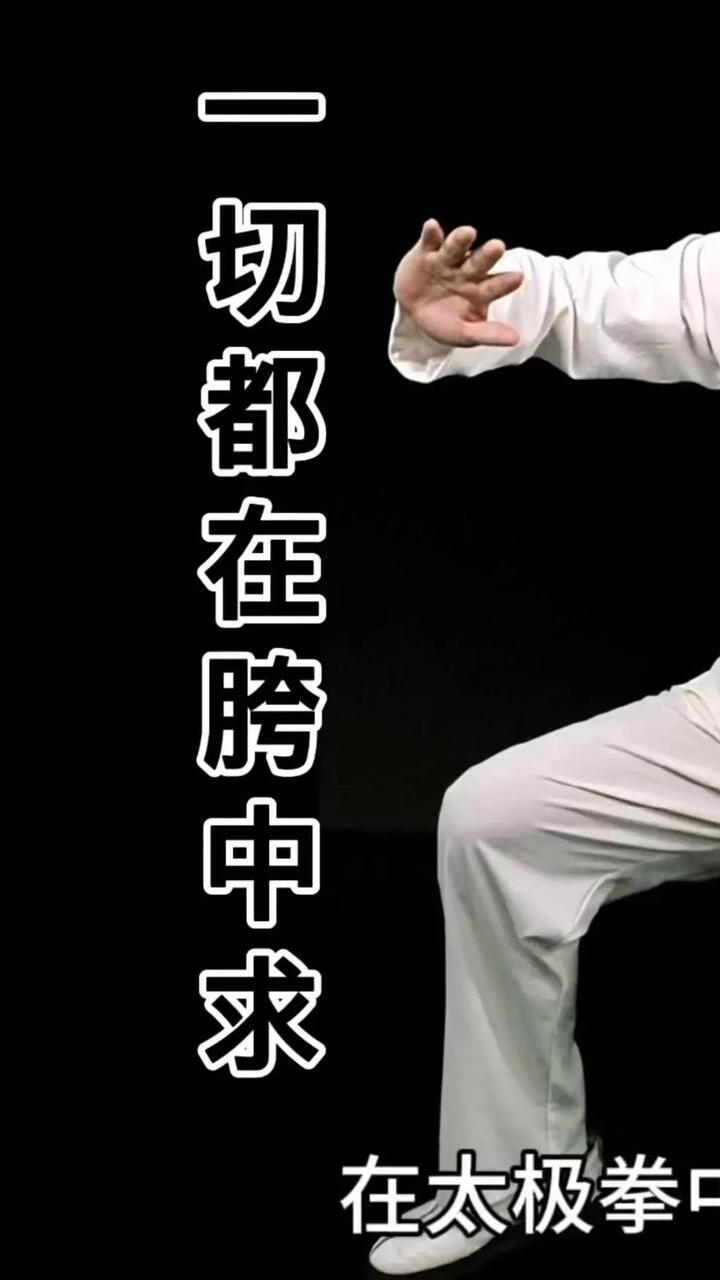 fu style tai chi